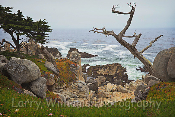 Monterey CA Coastline - _MG_0818