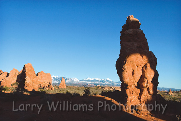 Windows Section and La Sal Mountains _MG_5972