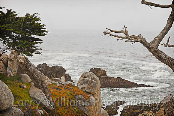 Monterey CA Coastline - _MG_0795