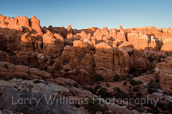 Fiery Furnace _MG_5858