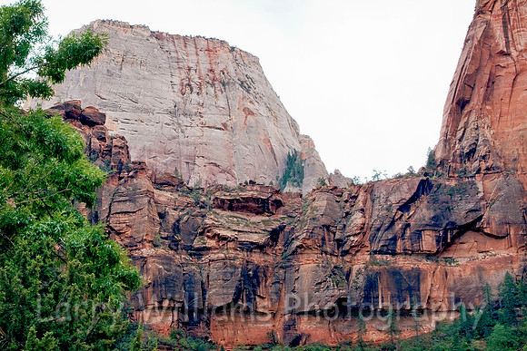 White Throne - _MG_7271