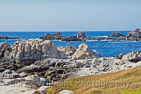 Asilomar State Beach CA Coastline - _MG_0997