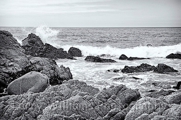 Monterey CA Coastline - _MG_0983