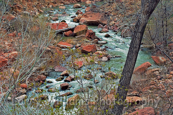 Virgin River - _MG_5303