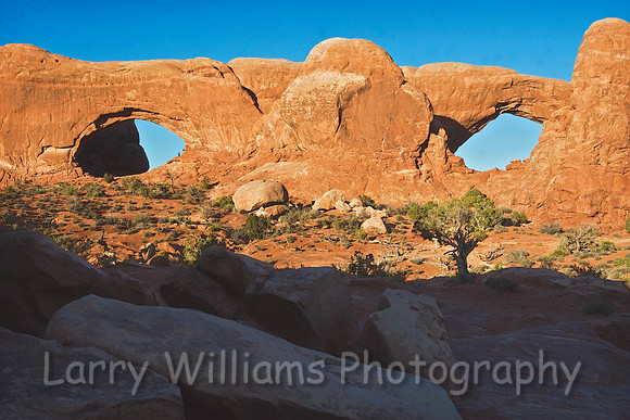 North Window and South Window _MG_5970