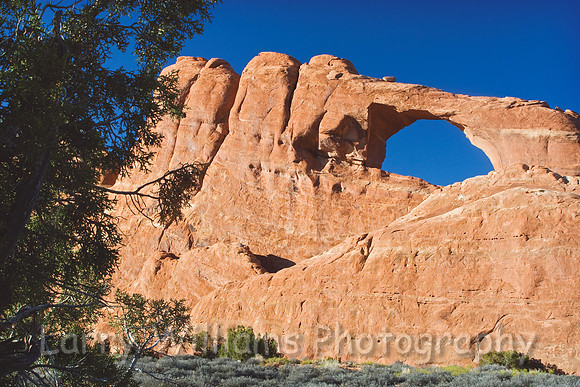 Skyline Arch _MG_5832