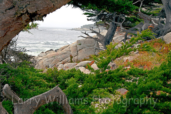 Monterey CA Coastline - _MG_0833