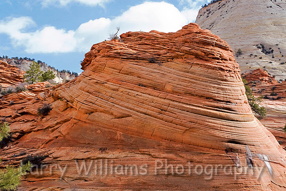 Countoured Rock -  _MG_5551
