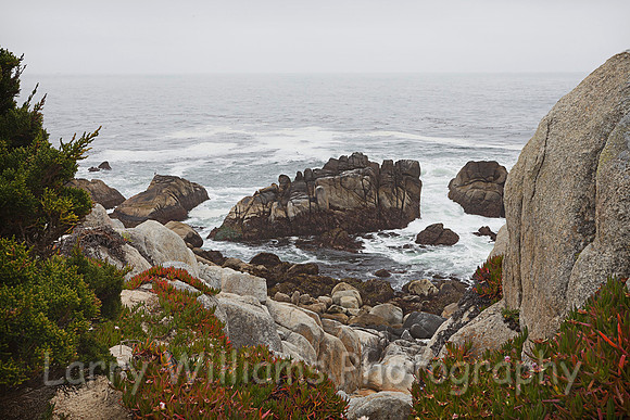Monterey CA Coastline - _MG_0823