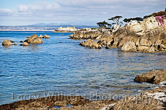 Pacific Grove CA Coastline - _MG_1013