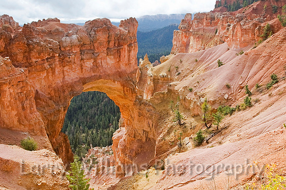Natural Bridge - _MG_7294