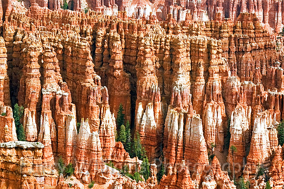 Inspiration Point Hoodoos - _MG_7322