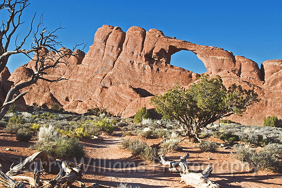 Skyline Arch _MG_5839