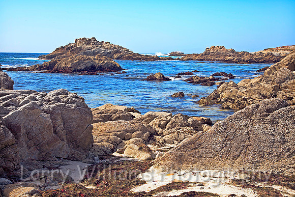 Asilomar State Beach CA Coastline - _MG_0994