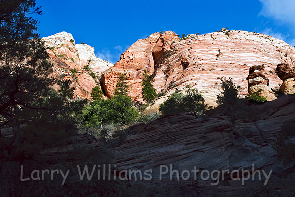 Dog Face Gorge - _MG_5545