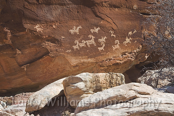 Indian Petroglyphs _MG_5922