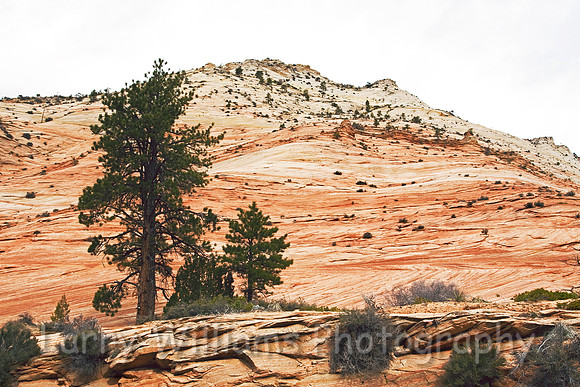 Countoured Slope - _MG_5555